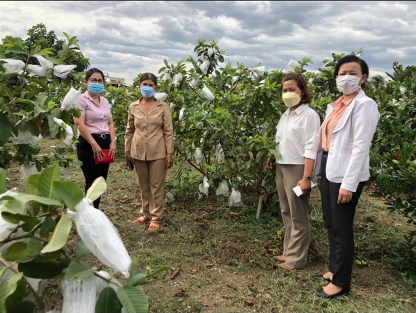 Làm giàu từ trồng cây ăn quả  Trang thông tin điện tử Huyện Như Xuân   tỉnh Thanh Hóa