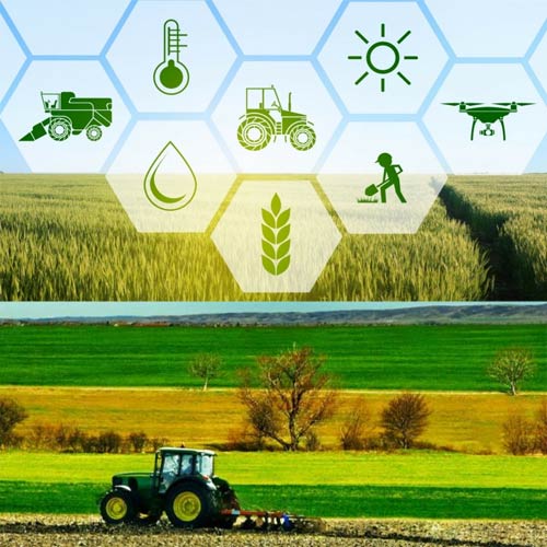 Top hơn 84 về mô hình phát triển nông nghiệp bền vững mới nhất